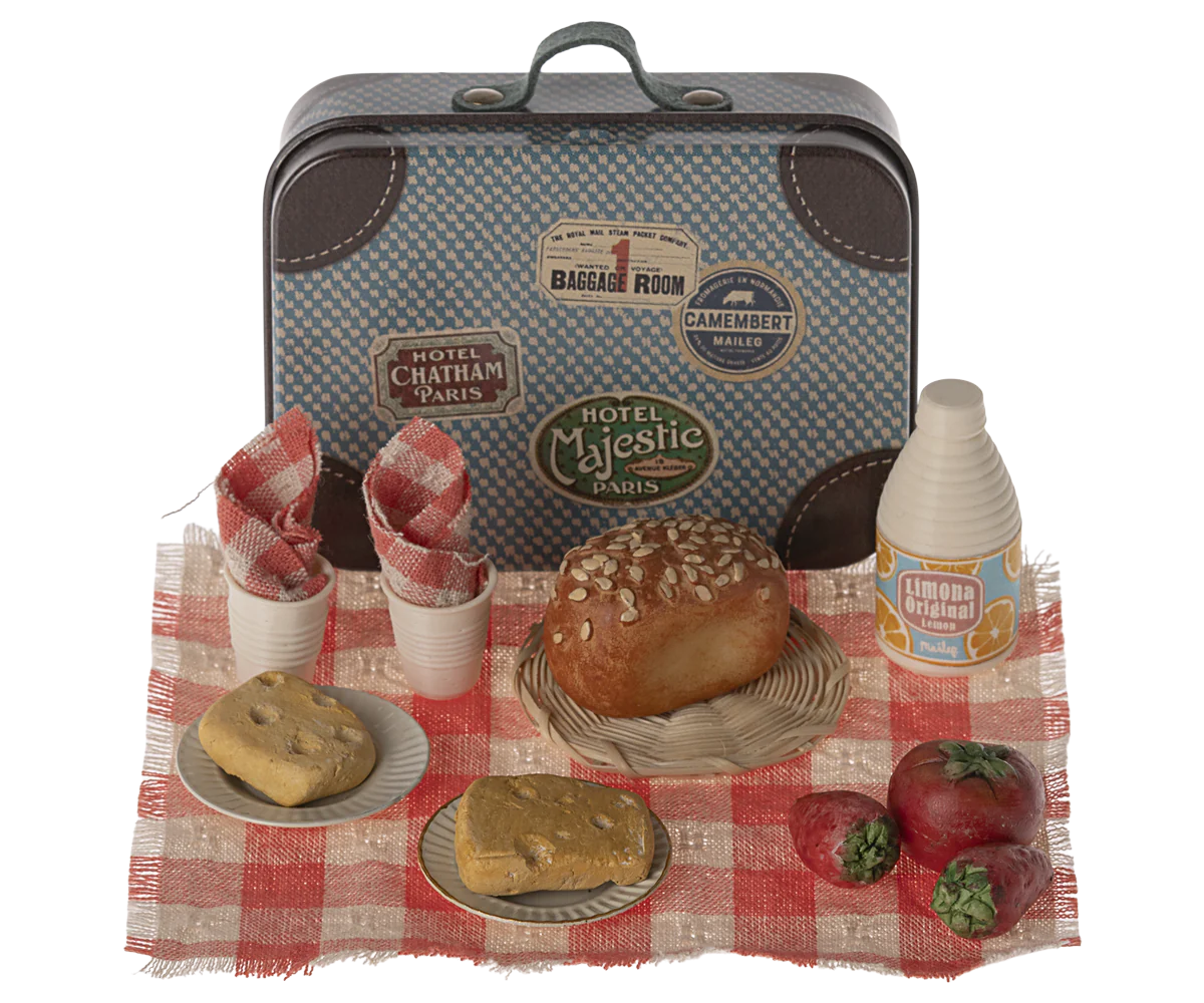 Picnic set in suitcase ~ 2024