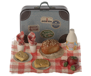 Picnic set in suitcase ~ 2024