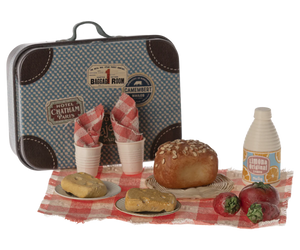 Picnic set in suitcase ~ 2024