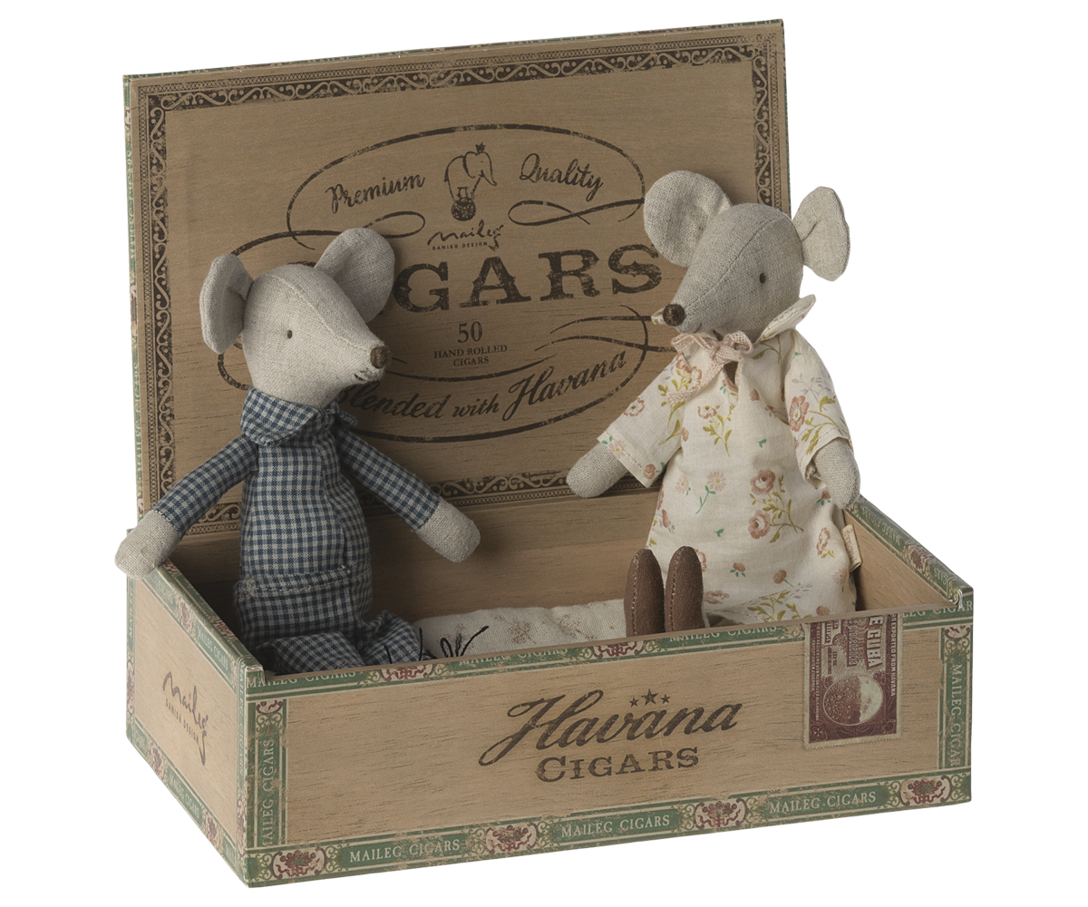 Grandma and Grandpa mice in Cigar box