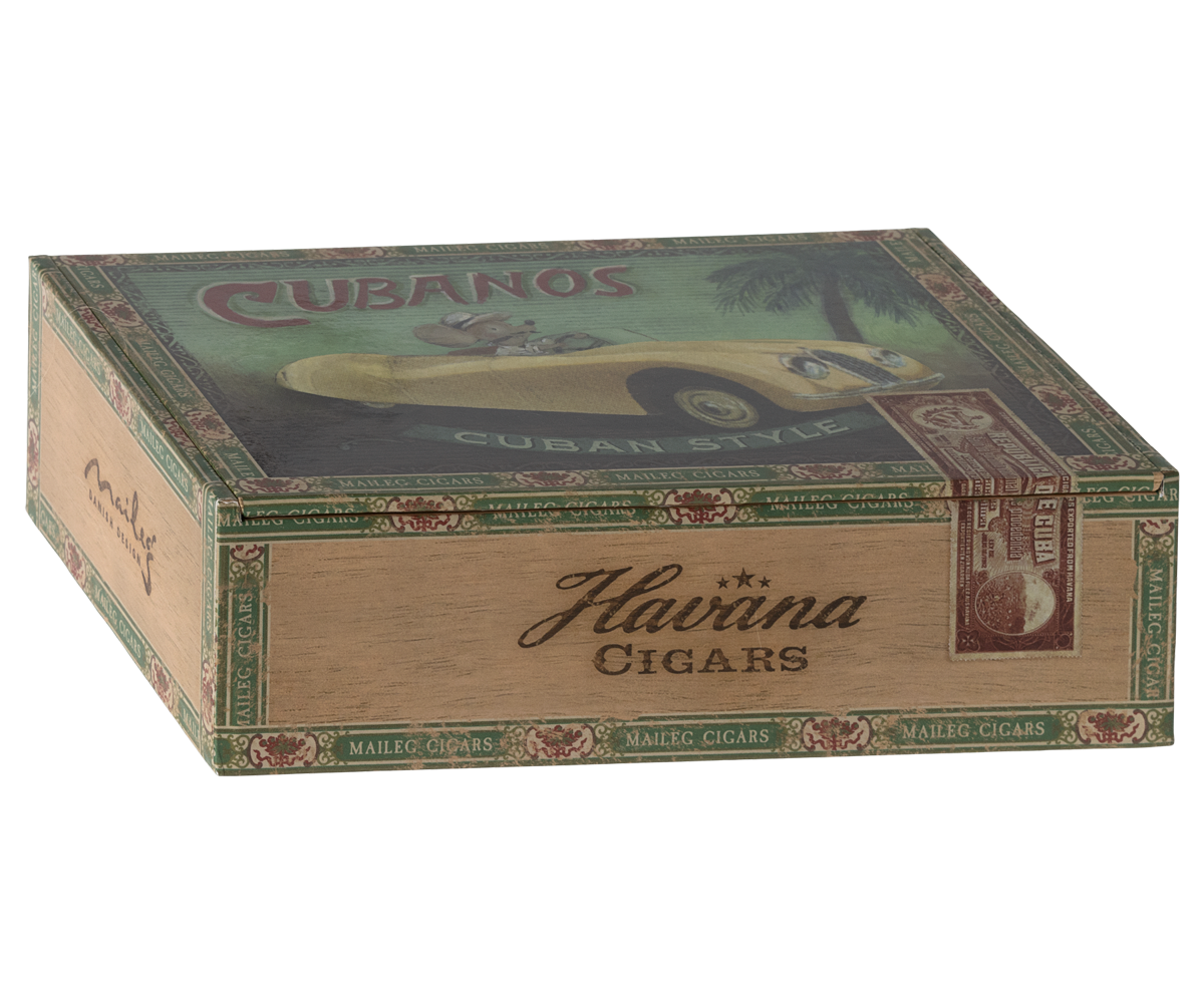 Grandma and Grandpa mice in Cigar box