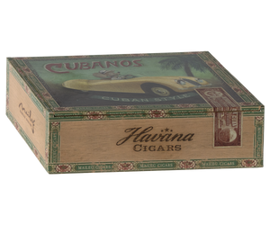 Grandma and Grandpa mice in Cigar box